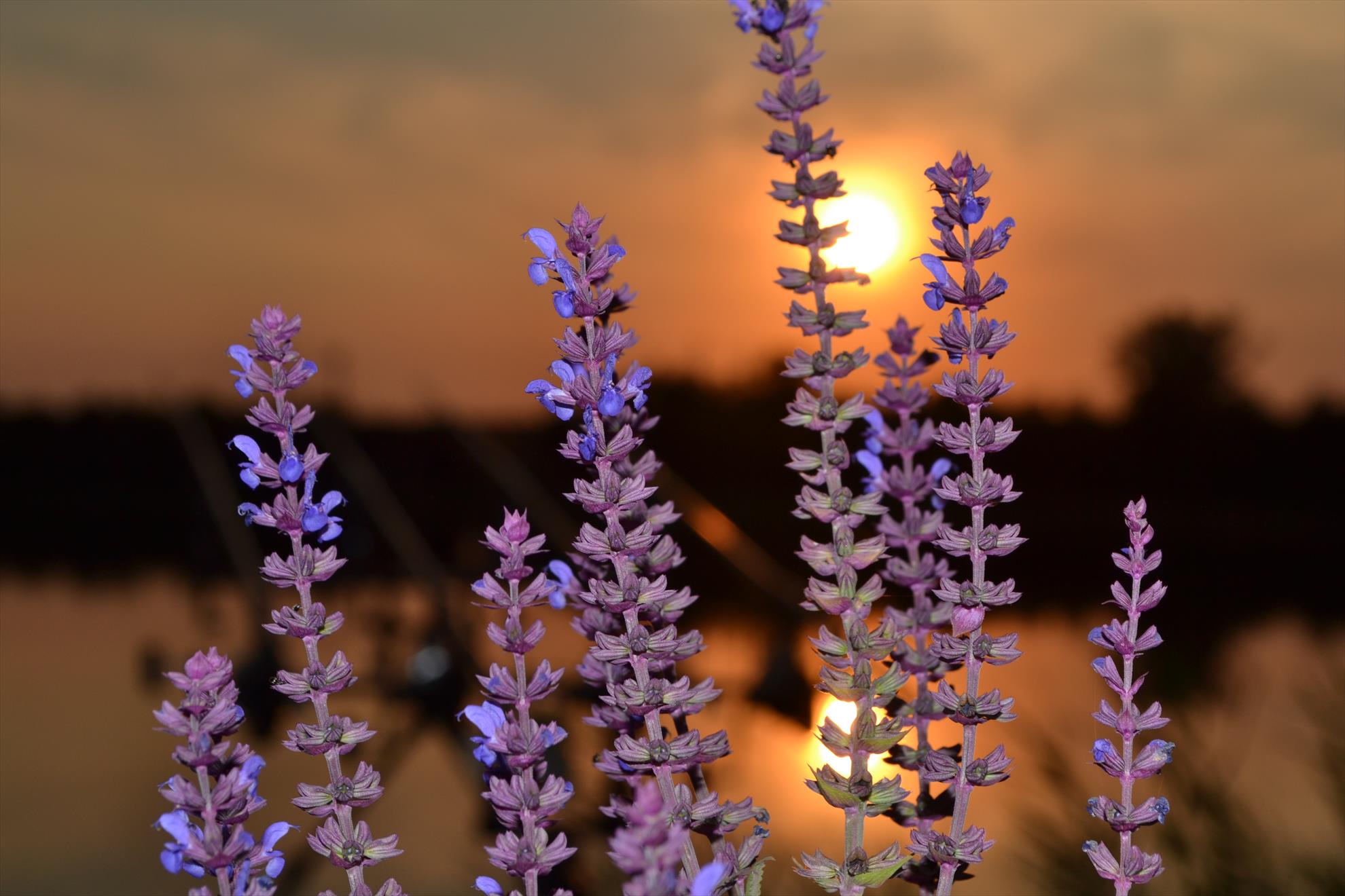 partide de pescuit - 201209132264.JPG